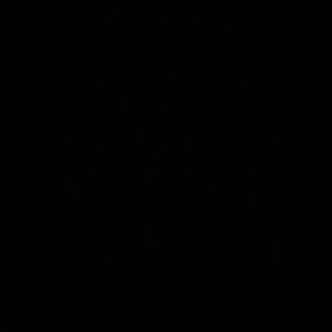 Meet your Posher, Ashton